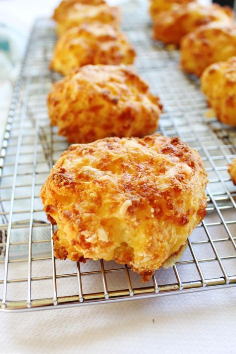 Gluten Free Cheese Buns, Low Fodmap Cheese, Cheese Scones Easy, Gluten Free Cheese Scones, Student Meals, Fodmap Baking, Gluten Free Chicken Nuggets, Lactose Free Cheese, Cheese Scone Recipes