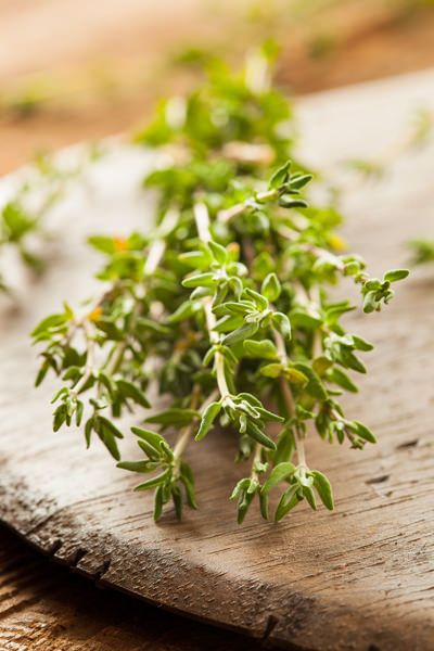 Thyme Photography, Forest Foraging, Growing Parsley, Chives Plant, Thyme Plant, Windowsill Garden, Food Stock, Aromatic Oils, Perennial Herbs