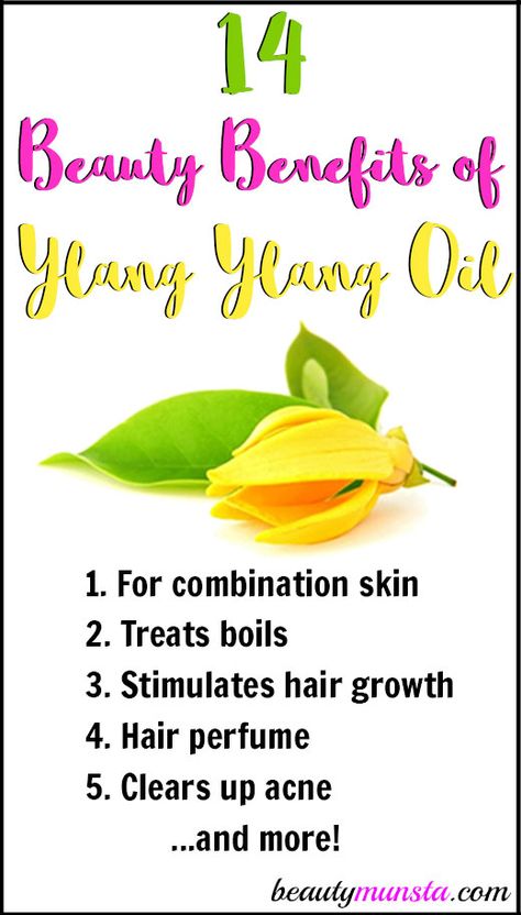 Get to know 14 beauty benefits of ylang ylang essential oil for your whole body! Ylang ylang oil is DIVINE! I love using it as a natural perfume for my hair and body. It has highly fragrant fun floral scent which is said to calm frayed nerves. Its name means ‘flower of flowers.’ I’ve been … Ylang Ylang Essential Oil Benefits, Acai Benefits, Natural Beauty Hacks, Essential Oil Beauty, Essential Oils Guide, Aromatherapy Benefits, Ylang Ylang Essential Oil, Essential Oil Benefits, Hair Treatments