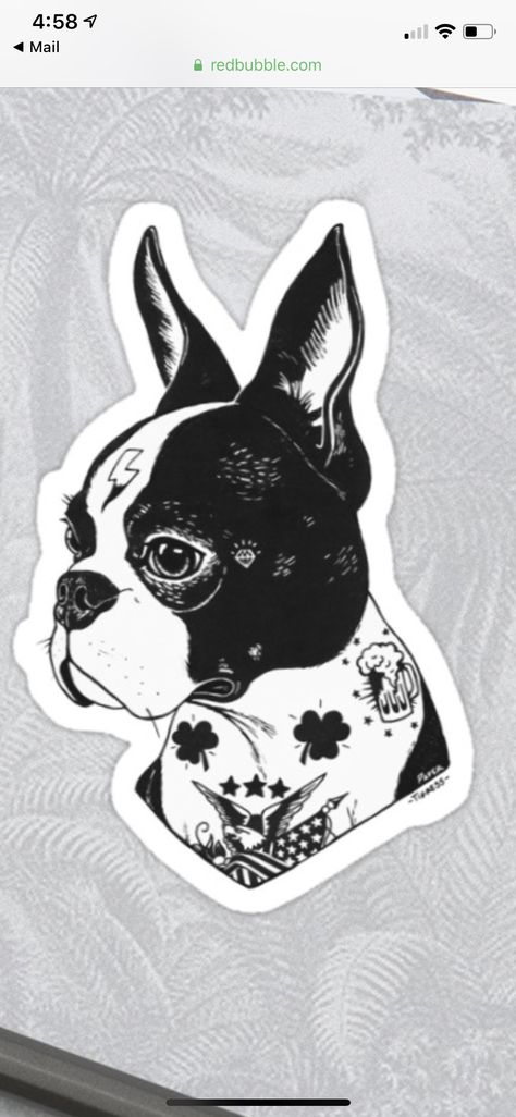 Boston Terrier Tattoo, Terrier Tattoo, Traditional Black Tattoo, Black Tattoo, Traditional Tattoos, Tattoo Flash, Black Tattoos, Flash Tattoo, Traditional Tattoo