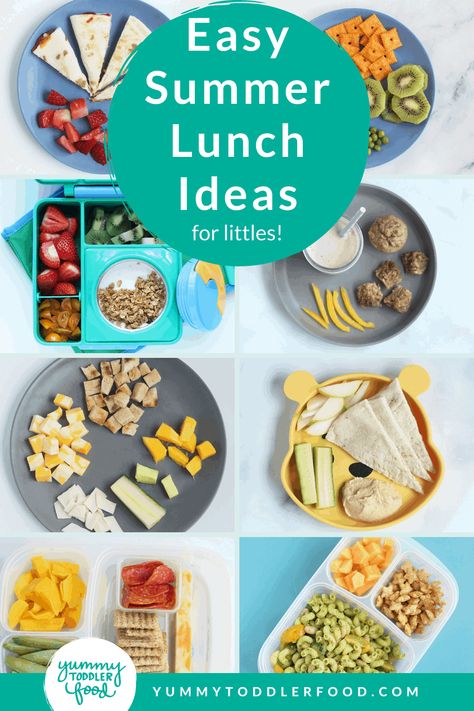 Easy Summer Lunch Ideas, Nutritious Lunches, Summer Lunch Ideas, Quick Summer Meals, Fresh Crop, Baby Lunch, Easy Toddler Meals, Quick Lunch Recipes, Healthy Lunches For Kids