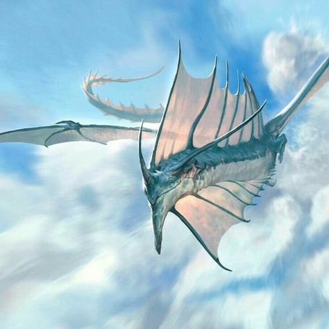 Sky Creatures, Jesper Ejsing, Sky Dragon, Realistic Dragon, Dragon Shield, Creature Artwork, Fantasy Beasts, Creature Drawings, Alien Creatures