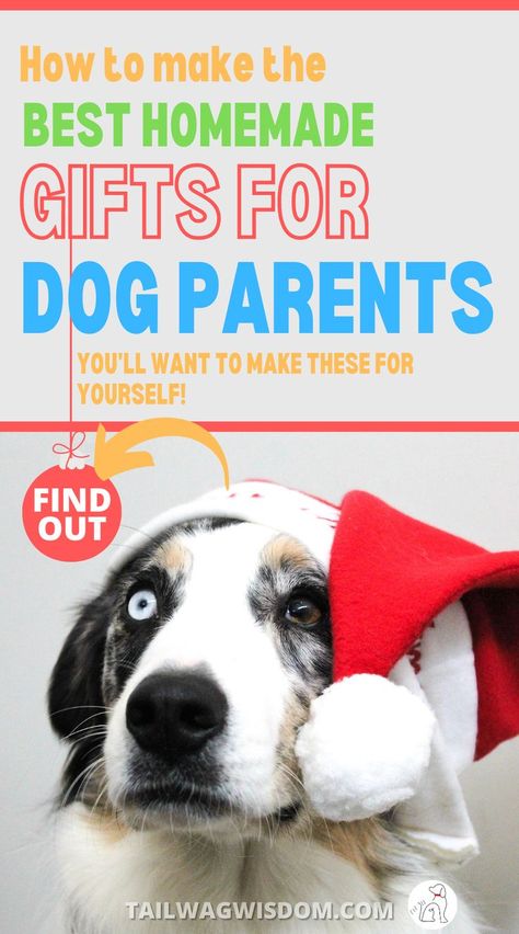 cute santa dog looks on at great DIY gifts for dog parents Dog Gifts For People, Best Diy Gifts, Diy Dog Gifts, Quick Diy Gifts, Dogs Diy Projects, Dog Presents, Quick Diy, Dog Projects, Dog Parents