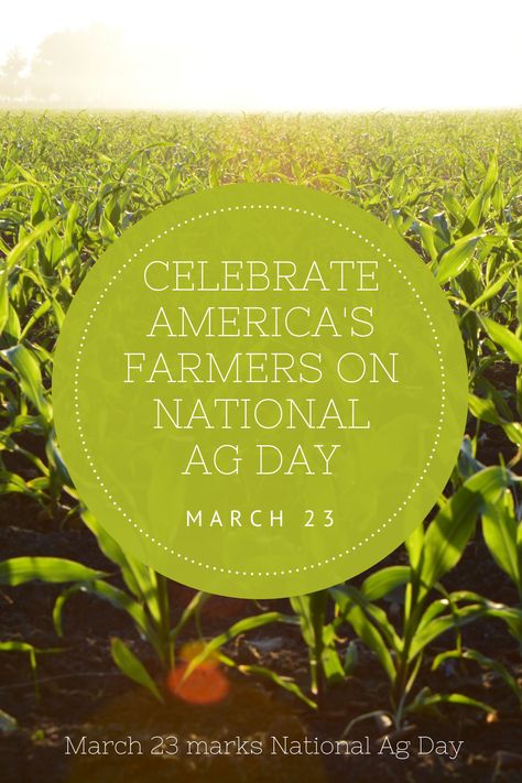 The Agriculture Council of America (ACA) has announced it will host National Agriculture Day on March 23, 2021. This will mark the 48th anniversary of National Ag Day which is celebrated in classrooms and communities across the country. The theme for National Ag Day 2021 is "Food Brings Everyone to the Table." Registration for the virtual event is free. #foodscience #agriculture National Ag Day, National Agriculture Day, 48th Anniversary, Ag Day, Food Science, Farm Life, Agriculture, Farmer, Science