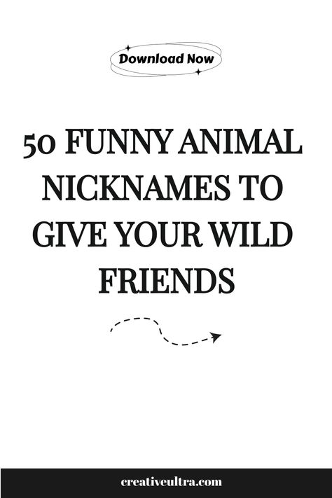 Find 50 funny animal nicknames for pets or wild creatures around you. Perfect for dogs, cats, birds, & more—add some fun to your animal encounters! Names For Pets, Animal Nicknames, Funny Nicknames, Animal Encounters, Funny Names, Wild Creatures, Pets Funny, Photoshop Photography, Funny Animal