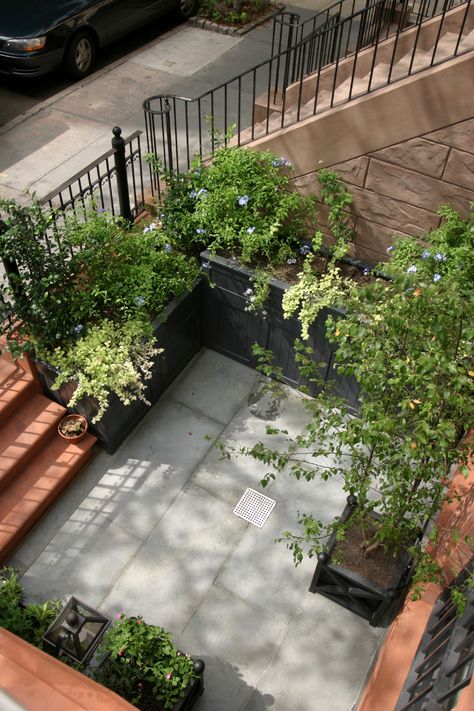 Front Yard. NYC townhouse. Row House Front Yard, Lawn Statues Front Yards, Townhouse Landscaping Front Yard, Brownstone Front Garden, Cafe Armchair, Townhouse Courtyard, Brownstone Backyard, Brownstone Garden, Townhouse Front Yard Landscaping