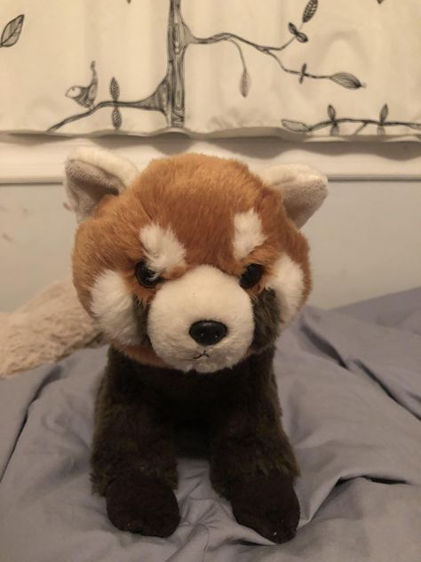 Please follow #iloveredpandas This is my daughters plushie Red the red panda :) #redpanda #panda #cutebear #bear #animal #firefox #panda #pandabear Red Panda Plushies, Red Panda Stuffed Animal, Red Panda Plush, Panda Stuffed Animal, Big Panda, Gorillaz Art, Red Pandas, Bear Animal, Pin Pin