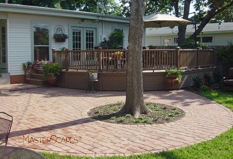 paver patio with landscaping at tree base Pavers Around Tree Landscaping, Pavers Around Trees, Hardscape Around Tree, Paver Patio Around Tree, Paving Around Tree, Pavers Around Tree, Patio Around Tree, Patio With Landscaping, Patio Paver Designs Layout