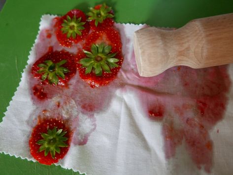 Strawberry Activities For Toddlers, Strawberry Activities For Kids, Strawberry Activities, Garden Strawberries, Science Activities For Toddlers, Strawberry Crafts, Berry Birthday, Activities For One Year Olds, Picnic Activities