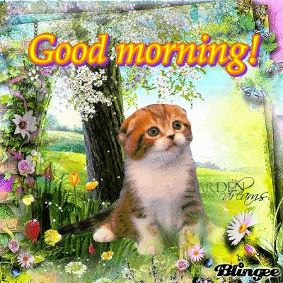 10 Happy & Fun Good Morning Animated Gifs Good Morning God, Friendship Rose, Good Morning Cat, Good Morning Facebook, Good Morning Happy Thursday, Friday Pictures, Good Morning Love Gif, Good Morning Sister, Morning Cat