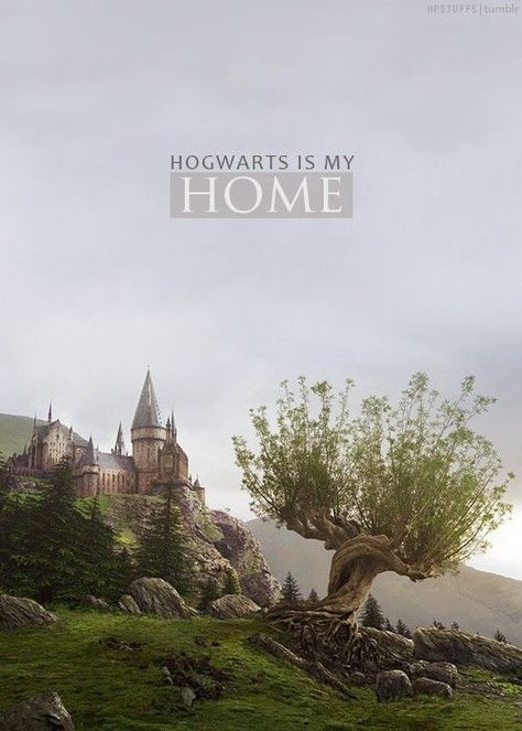 Hogwarts is my home. Hogwarts Is My Home, Citate Harry Potter, Hogwarts Alumni, Always Harry Potter, Tapeta Harry Potter, Harry Potter Background, Images Harry Potter, Hogwarts Aesthetic, Harry Potter Tumblr