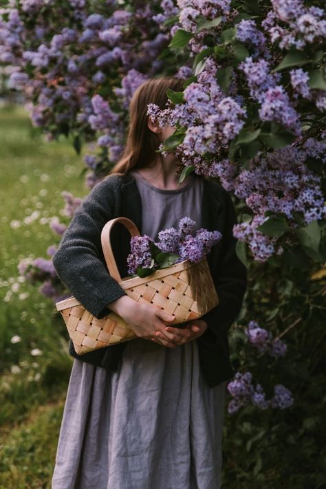 Produce Baskets, Lavender Cottage, Lilac Bushes, Creative Commons Images, Flowers Photo, Farm Photo, Spring Photos, Space Pictures, Lilac Flowers