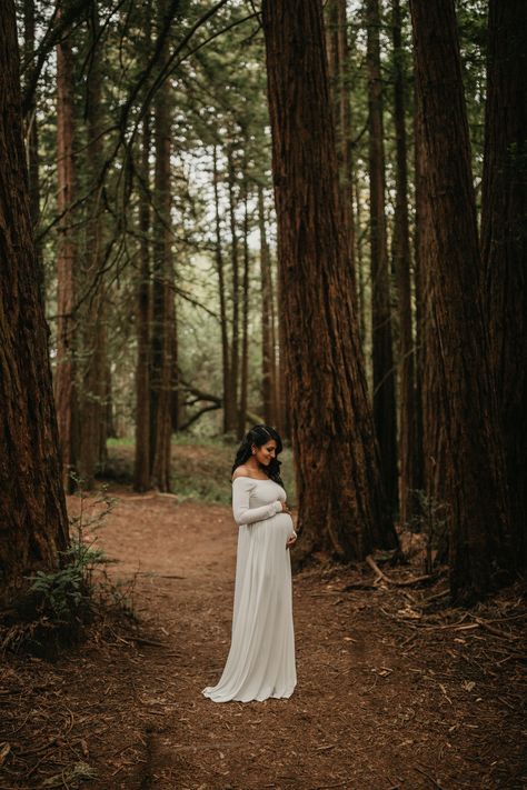 Trees Maternity Shoot, Maternity Photography Woods Outdoor, Maternity Photography Trees, Maternity Pictures In Forest, Redwoods Maternity Photos, Maternity Mood Board, Maternity Photo Shoot Ideas Forest, Maternity Photography In Woods, Pine Tree Maternity Pictures