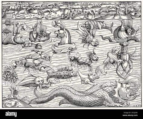 Download this stock image: Land and sea monsters, based on Sebastian Munster's Comograhia uiversalis” from 1550 - 2G5J59R from Alamy's library of millions of high resolution stock photos, illustrations and vectors. Monster Tattoo, Sea Serpent, Land And Sea, Monster Illustration, Sea Monster, Ancient Maps, Animal Groups, Painter Artist, Mythological Creatures