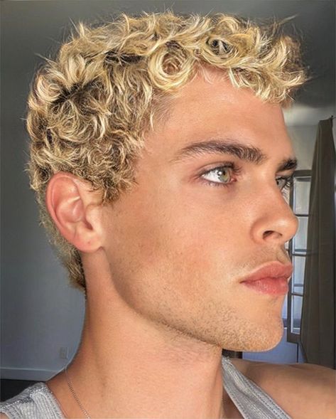 Bleached Curly Hair Men, Curly Hair Dyed Blonde, Blonde Curly Hair Men, Blonde Curly Hair Boy, Curly Blonde Hair Men, Mens Hair Color Ideas, Bleached Curly Hair, Lightning Hair, Alex Heartman