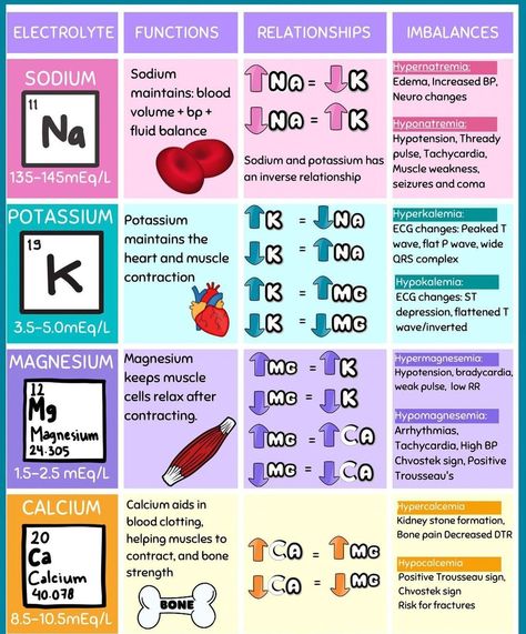 Pharmacology Nursing Study, Nursing School Studying Cheat Sheets, Nursing School Essential, Nursing Study Guide, Nursing School Motivation, Medical School Life, Basic Anatomy And Physiology, Nurse Study Notes, Nursing Mnemonics