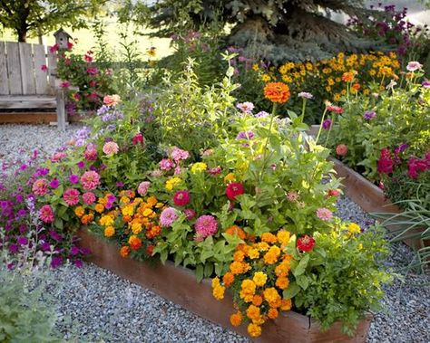 Barn Landscaping Ideas, Picket Fence Garden, Raised Flower Beds, Cut Flower Garden, The Secret Garden, Small Yard, Have Inspiration, Garden Boxes, Garden Fencing