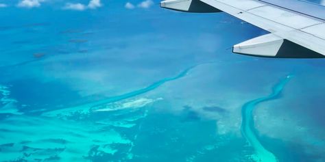 Bachelorette Weekend Guide: Key West, Florida – • Everyday Davis • Key West Fl, Sorry Not Sorry, Key West Florida, Not Sorry, Bachelorette Weekend, Key West, Bachelorette Party, Airplane View, Getting Married