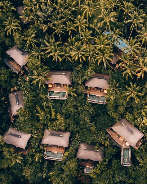 Bali Drone Lady on Instagram: “Go into the woods, go into a fairytale 🏕 #moodygrams #exploreourearth #theweekoninstagram #droneoftheday #fantasticearth #moodygrams…” Voyage Bali, Wellness Resort, Graduation Project, Destination Voyage, Seminyak, Into The Woods, Ubud, Glamping, Best Hotels