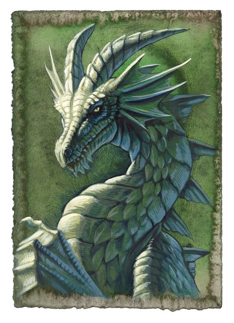 Dragon Medieval, Illustration Tutorial, Beautiful Dragon, Dragon Pictures, Green Dragon, White Dragon, Dragon Artwork, Fire Dragon, Blue Dragon