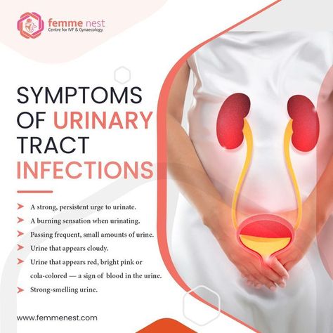 UTI can be really uncomfortable, so it's important to take care of your body and know the symptoms. It can happen when bacteria enter the urinary tract, usually through the urethra. UTIs are most common in women because they have a short urethra than men. You may have UTI if you experience any of these symptoms mentioned above. Consult now to the best doctor for IVF in Delhi. #gynaecology #o...#FitLife #HealthyLiving #Wellness #NutritionTips #HealthTips #FitnessTips #HealthyLifestyle #SelfCare Urine Infection Remedies, Healthy Liver Diet, Nursing Skills, Blood Pressure Symptoms, Fertility Doctor, Fertility Problems, Liver Diet, Receding Gums, Healthy Liver