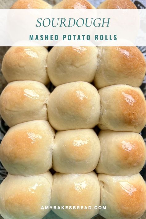 Use your leftover mashed potatoes to create some delicious and hearty sourdough rolls. Yum! Mashed Potato Rolls, Yeast Biscuits, Artisan Rolls, Thanksgiving Rolls, Sourdough Rolls, Sourdough Cinnamon Rolls, Potato Rolls, Bread Sweet, Discard Recipes