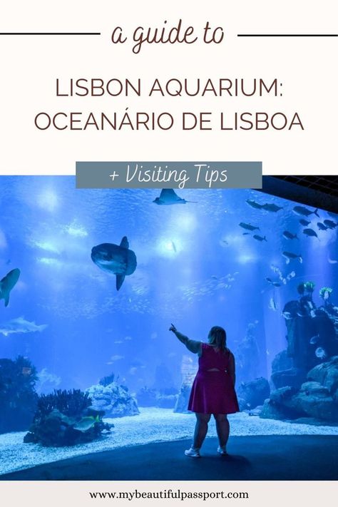 how to visit the lisbon aquarium in portugal Lisbon Aquarium, Lisbon Oceanarium, Lisbon Travel, Is It Worth It, The Aquarium, Visit Europe, Europe Travel Destinations, Lisbon Portugal, Worth It