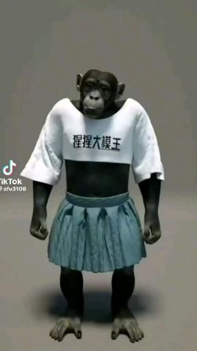 Monkey Dance, Kalle Anka, Funny Cartoon Images, Funny Dancing Gif, Cartoons Dancing, Dancing Animals, Good Morning Funny Pictures, Animal Humour, Funny Animated Cartoon