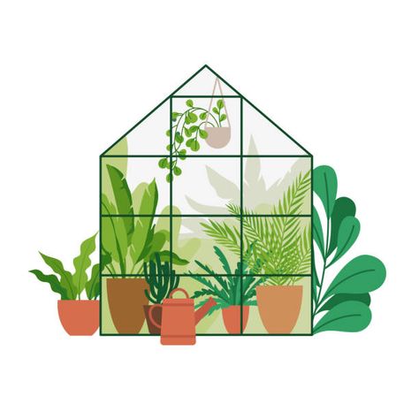 213,778 Green House Plants Stock Photos, Pictures & Royalty-Free Images - iStock Jungle Poster, Art Alevel, Garden Illustration, Building Illustration, Small Canvas Paintings, 강아지 그림, Home Gardening, House Illustration, Doodle Illustration