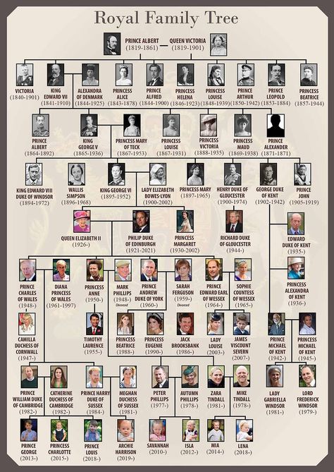 James Windsor, Royal Family Tree, British Royal Family Tree, George Duke, Royal Family Trees, Lady Elizabeth, Lady Louise Windsor, Elisabeth Ii, English History