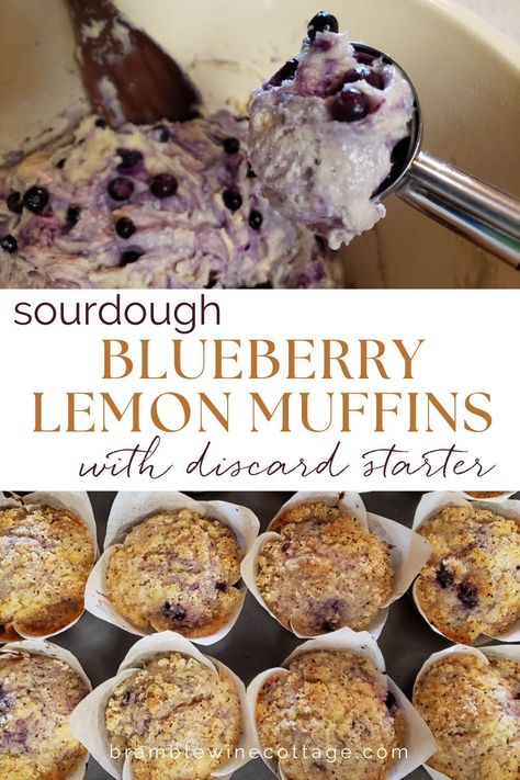 Make these easy and quick Sourdough Blueberry Lemon Muffins for your next breakfast treat! This sourdough discard recipe is sure to be a hit with its sweet and tart flavors, complemented by a crunchy crumb topping. Perfect for any breakfast or brunch, these muffins are sure to be a crowd-pleaser! Sourdough Discard Blueberry, Sourdough Blueberry, Lemon Blueberry Muffins Recipe, Blueberry Lemon Muffins, Best Buttermilk Biscuits, Lemon Muffin Recipes, Canned Blueberries, Buttermilk Biscuits Recipe, Sourdough Starter Discard Recipe