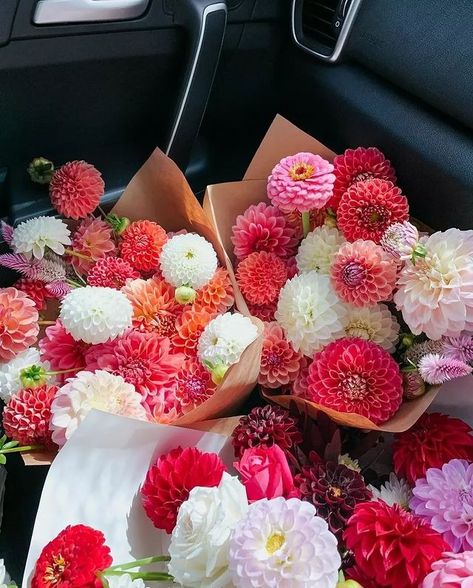 Dahlia Society | Dahlias bouquet 😍😍🌺 . . Credit : @floralfulflowers . . . #dahlia #dahlias #dahliagarden #dahliaseason #dahliaflower #dahliaflowers... | Instagram Dahlia Flower Aesthetic, Daliah Flower, Dahlia Arrangements, Dahlias Bouquet, Dahlia Society, Flower Outfits, Dahlia Flower Garden, Dahlia Wedding, Dahlias Wedding