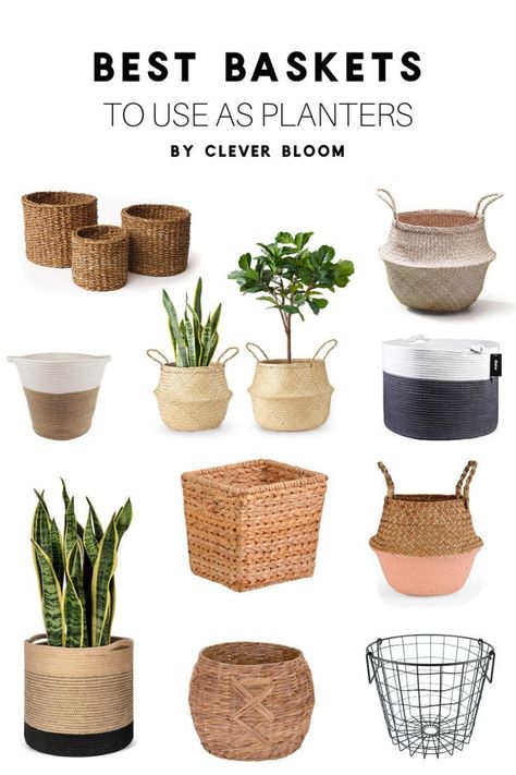 Forget the fact that pretty much every decor style uses baskets. Baskets are a perfect way to cover ugly nursery pots or switch up your your style in seconds. Take a look at the best baskets to use planters. #houseplants #houseplantclub #basketdecor #baskets #planters Planter Baskets Indoor, Basket Pots For Plants, Plants In Baskets Indoor, Costal Decoration, Basket Planters Indoor, Indoor Planters Pots, Plant Parenthood, Tall Indoor Plants, Indoor Plants Low Light