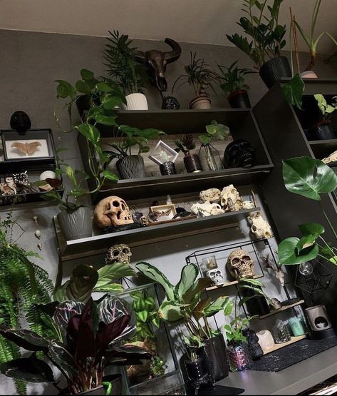 Collector Home Decor, Spooky Plant Aesthetic, Spooky Aesthetic Living Room, Plant Room Dark Academia, Plant Witch Aesthetic Room, Forest Bedroom Aesthetic Grunge, Forest Goth Bedroom, Tropical Goth Bedroom, Small Goth Apartment Ideas