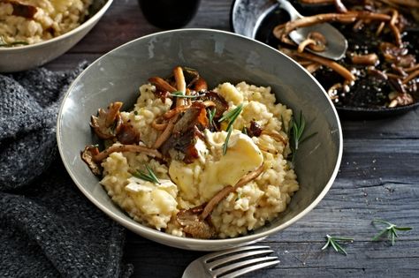 Creamy Brie and Mushroom Risotto Recipe Here: http://www.taste.com.au/recipes/27492/creamy+brie+and+mushroom+risotto?ref=collections,risotto-recipes Mushroom Brie, Vegan Mushroom Risotto, Creamy Brie, Risotto Recipes Easy, Mushroom Risotto Recipes, Potato Patties, Risotto Recipe, Patties Recipe, Mushroom Risotto