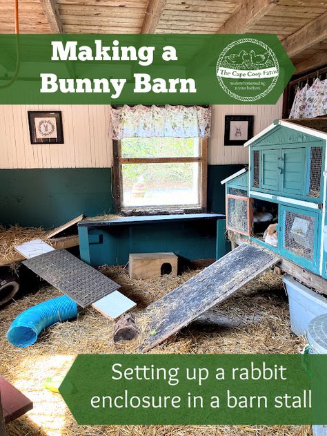 Making a Bunny Barn - Rabbit Enclosure in Barn Stall - The Cape Coop Outside Bunny Enclosure, Bunny Coop, Bunny Sheds, Rabbit Shed, Angora Bunny, Rabbit Enclosure, Rabbit Ideas, Barn Stalls, Rabbit Farm