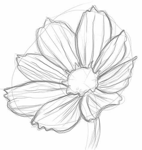 Drawing Advanced, Realistic Flower Drawing, Ako Kresliť, Draw A Flower, Simple Flower Drawing, Dreamy Flowers, Easy Flower Drawings, Pencil Drawings Of Flowers, Drawing Realistic