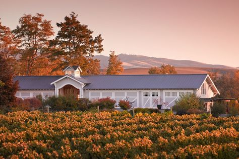 The Best Walla Walla Wineries (and More) to Visit Right Now Walla Walla Wineries, Washington Wine Country, Booth Seating, Walla Walla, The Blue Mountains, Wine Theme, Picture Windows, Wood Beams, Tasting Room