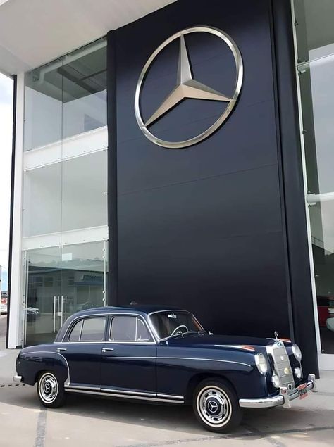 Mercedes Classic Cars, Mercedes 180, Vintage Beetle, Mercedes Classic, Mercedes 220, Mercedes Auto, Mercedes Benz 220, Old Mercedes, مرسيدس بنز