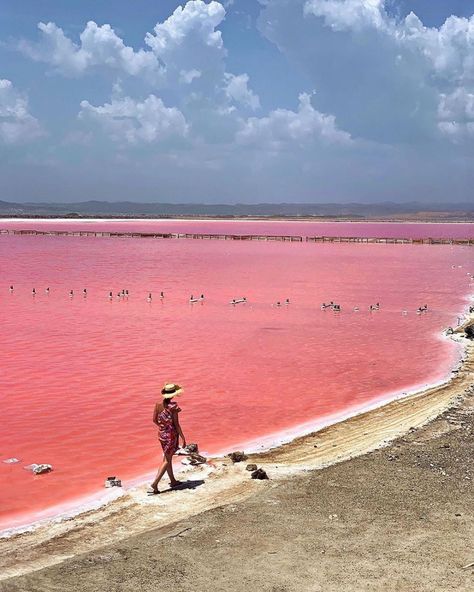 Colombia’s Pink Sea in Galerazamba Colombia Travel (@colombia.travel) • Instagram photos and videos Backpacking South America, Thailand Backpacking, Backpacking Asia, Caribbean Culture, Beautiful Landscape Photography, Pink Sea, Colombia Travel, Rooftop Pool, Cool Pools