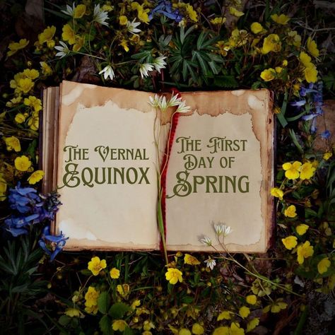 Spring Equinox Activities, Spring Equinox Aesthetic, Beginning Of Spring, Vernal Equinox, Ancient Persian, Jesus Resurrection, Hindu Festivals, Spring Equinox, Cycle Of Life