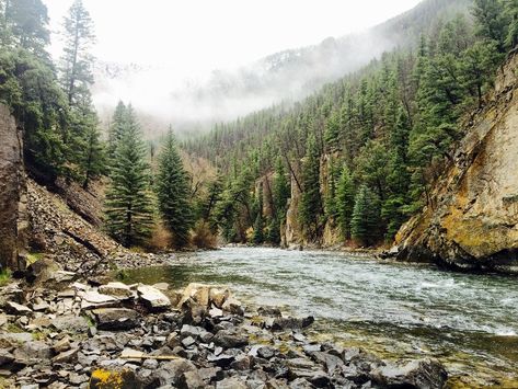 Fly Fishing Colorado, Rainbow Lake, Gunnison National Park, University Of Utah, Colorado River, Rocky Mountain National, Rocky Mountain National Park, American West, Bird Species