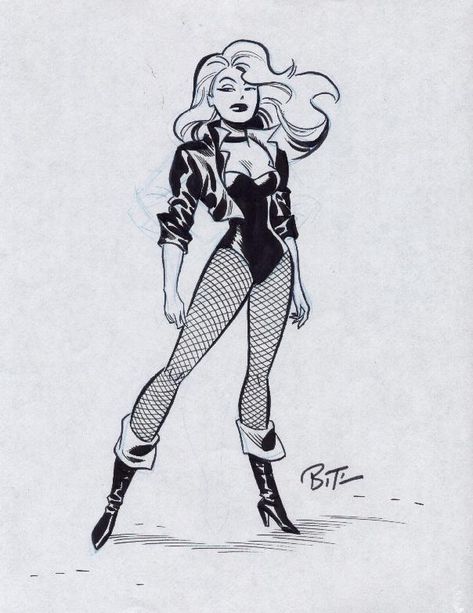 Dinah Drake, Justice Society, Univers Dc, Bruce Timm, Dc Comics Characters, Desenho Tattoo, Black Canary, Green Arrow, Comics Girl