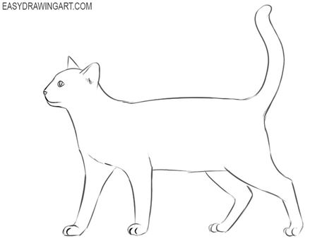 Cat Standing Drawing, Draw A Cat, Cat Front View Drawing, Cat Drawing From Behind, How To Draw A Cat From Behind, Cat From Behind Drawing, Sitting Cat Drawing Easy, Cat Eyes Drawing, Easy Cat Eye