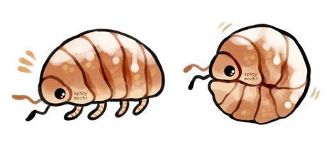 Cute Bug Art, Bug Drawing, Bugs Drawing, Woodlice, Pill Bug, Reading More, Cool Bugs, Bug Art, Little Doodles