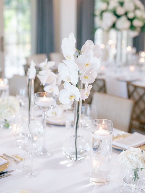 Transform your wedding tablescape with a stunning centerpiece that embodies elegance and modernity! Picture clean white linens draping effortlessly over tables, complemented by breathtaking clear vases filled with delicate orchids. This arrangement not only adds sophistication but also creates a serene atmosphere that every modern bride dreams of. Let your vision come to life! 

#WeddingInspiration #ModernBride #OrchidCenterpieces #ElegantWeddings #WeddingDecor #BridalStyle #TablescapeDesign Orchid Wedding Table Decor, White Orchid Wedding Decor, Orchid Arrangements Wedding, Orchid Wedding Decor, White Orchid Centerpiece, Orchid Centerpieces Wedding, Wedding Centerpeices, White Linens, Orchid Centerpieces