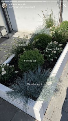 https://youtu.be/x_9FsCPw1bY Front Garden Planting Ideas, Modern Garden Design Ideas, Moderne Have, Front Garden Landscape, Front Garden Design, Back Garden Design, Grasses Landscaping, Led Band, Modern Garden Design