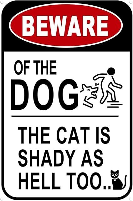 Vintage Metal Tin Sign Beware Of Dog Sign Beware Of The Dog The Cat Is Shady Too Tin Sign Funny Dog Warning Metal Signs for Home Kitchen Bar Pub 12 X 8 Inches : Amazon.co.uk: Home & Kitchen Beware Of Dog Sign, Beware Of The Dog, Home Kitchen Bar, Beware Of Dog, Dog Signs, Funny Signs, Kitchen Bar, Metal Tin, Home Signs