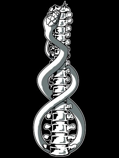 This is a depiction of the Kundalini energy rising up the spine- it is often depicted as a snake. This is what the song Sprung is about.... Kundalini Tattoo, Kundalini Snake, Spine Drawing, Kundalini Energy, Serpent Tattoo, Center Logo, Mens Fashion Classic, Unique Wallpaper, A Snake