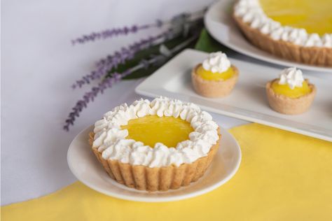 Lemon Cream Cheese Pie, Cream Cheese Pie Recipes, Dessert Mix, Cheese Pie Recipe, Mini Pie Pans, Dessert Squares, Lemon Pie Filling, Cream Cheese Pie, Lemon Cream Cheese